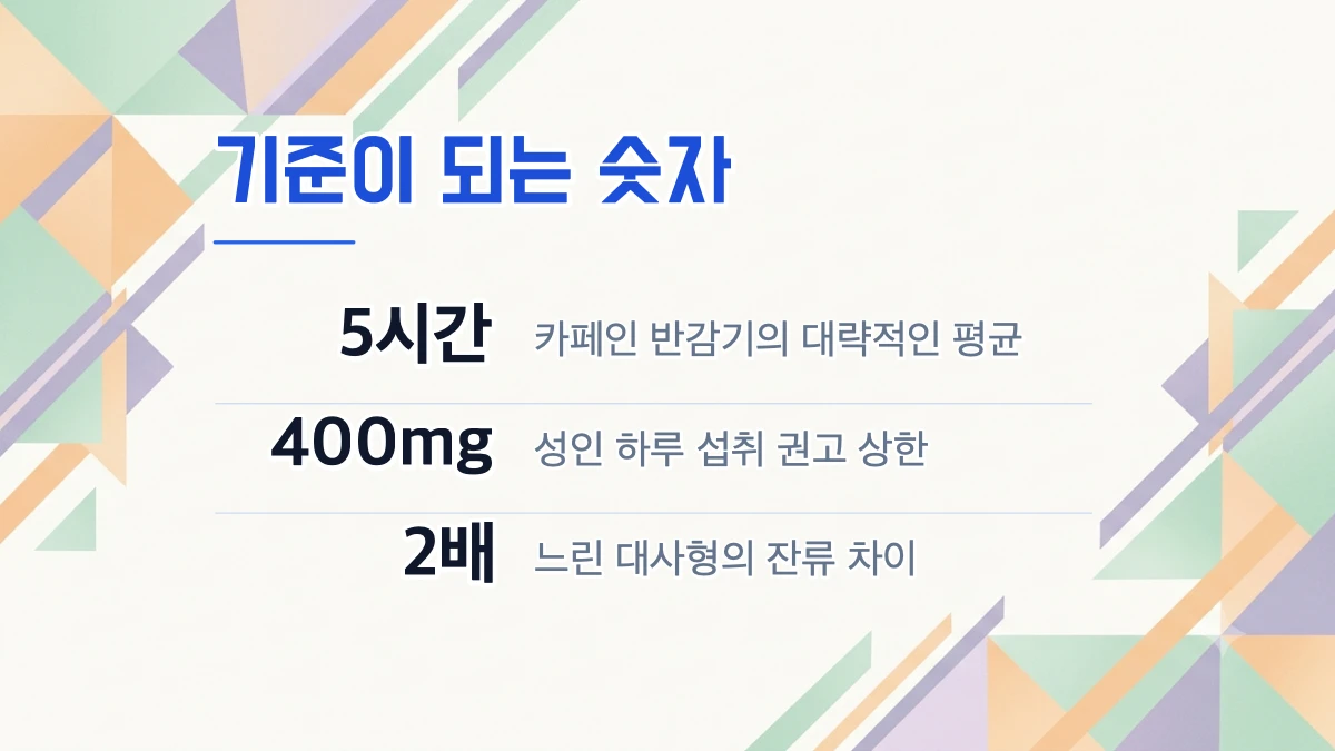 카페인 반감기가 뭔가요