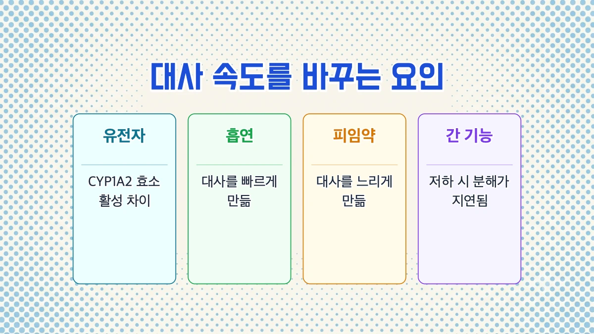 차이는 어디서 오나요