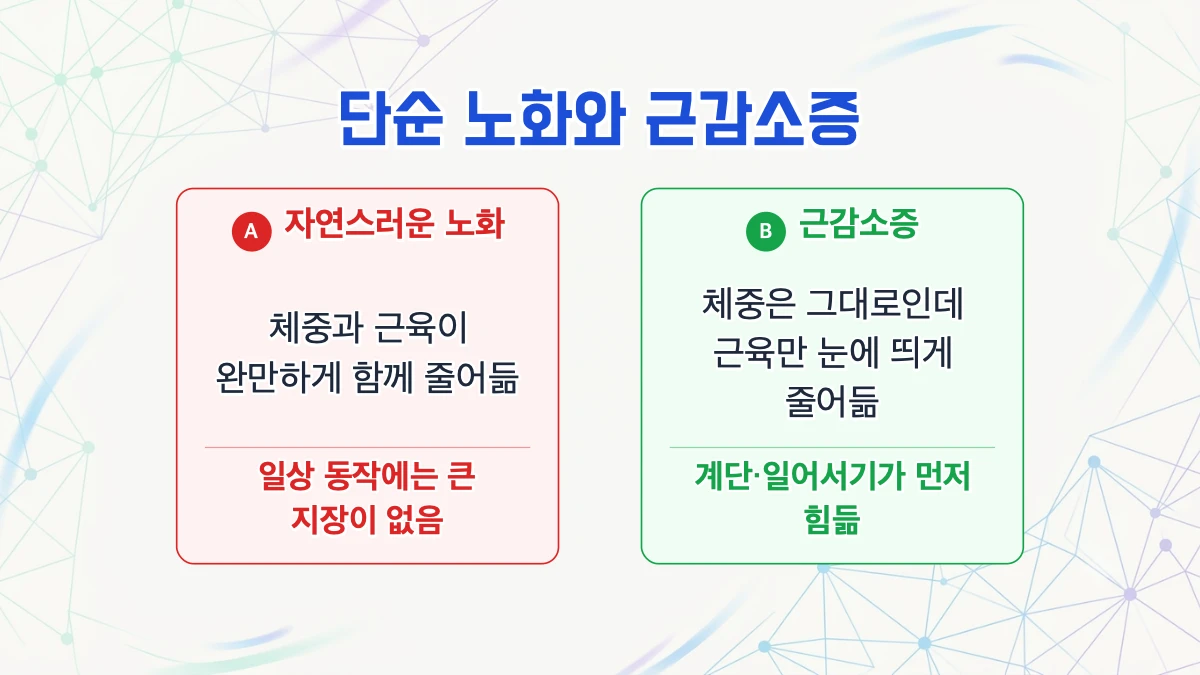 집에서 재는 순서