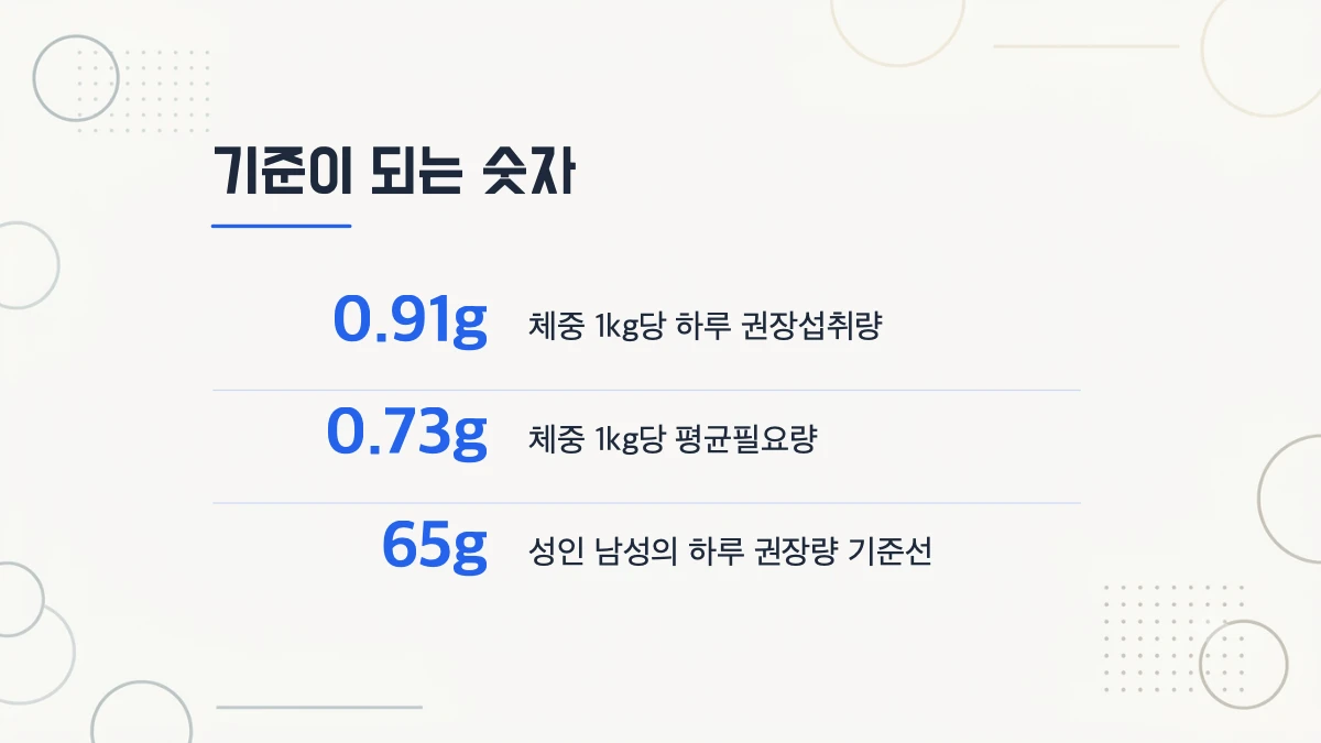 공식 기준은 체중 1kg당 얼마인가요