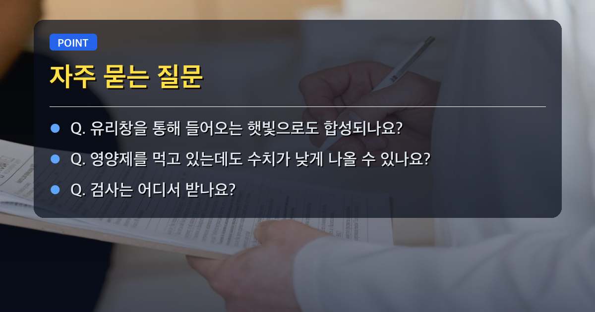 자주 묻는 질문