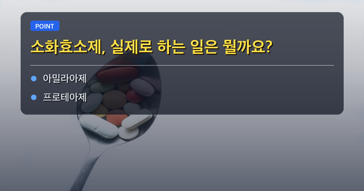 소화효소제, 실제로 하는 일은 뭘까요?