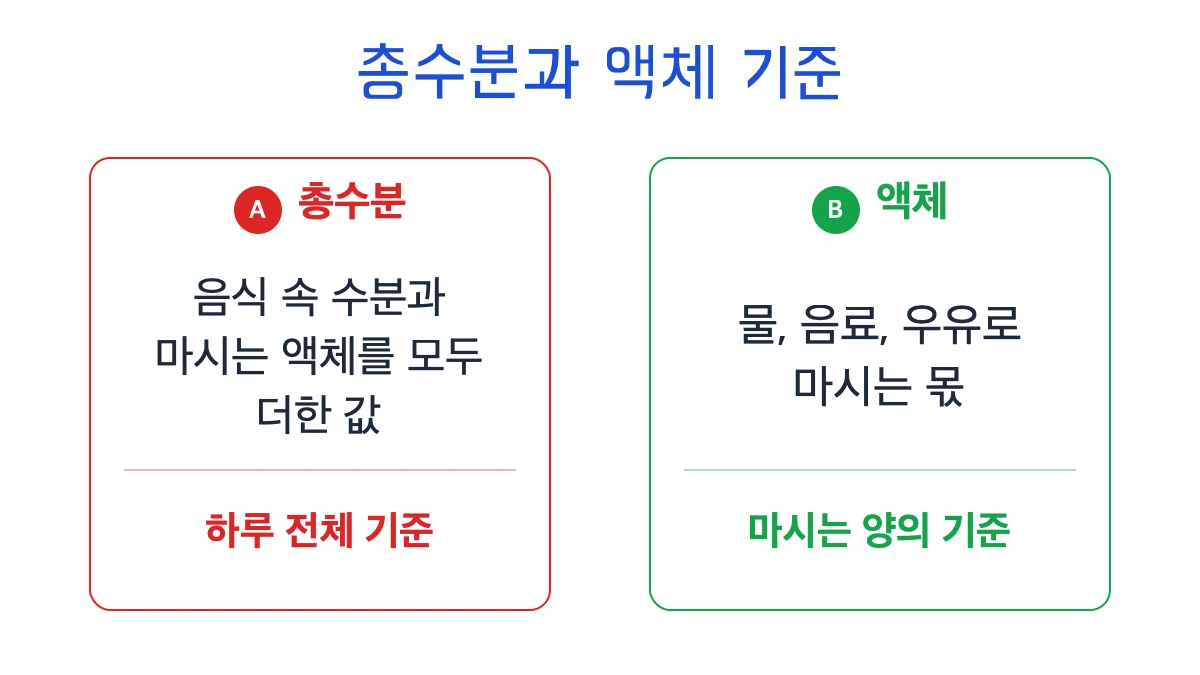 4. 🍚 음식에서 얻는 수분과 마시는 물은 어떻게 다른가요?