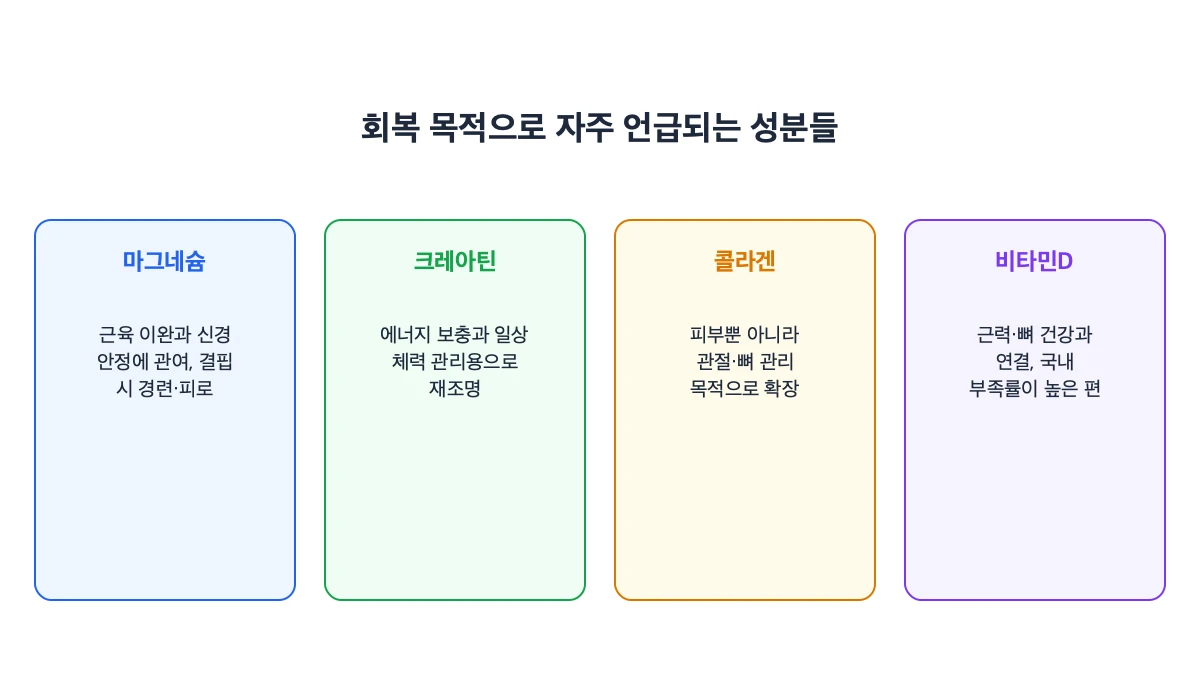 회복 목적으로 자주 언급되는 성분들